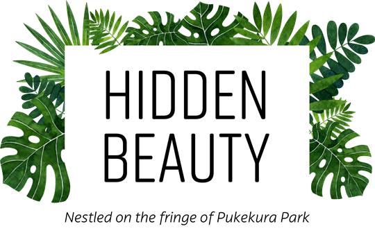 ”Hidden