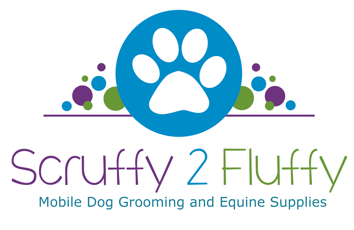 Scruffy to best sale fluffy grooming