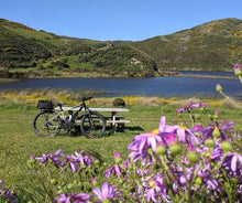 Load image into Gallery viewer, Wildfinder - Pencarrow