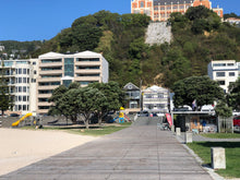 Load image into Gallery viewer, Gelissimo @ Freyberg - Oriental Bay
