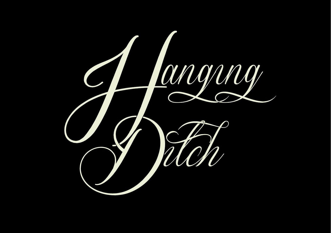 Hanging Ditch - Te Aro